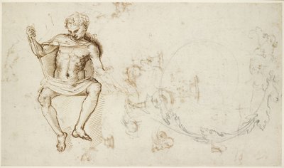 Recto: Studien eines sitzenden Mannes und von Akanthuslaub, WA1846.147 von Raffaello Sanzio Raphael